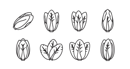 Endive icon 6 pec set black line art