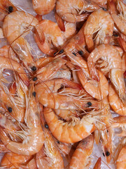 Shrimp. Shrimp on ice on the counter. Food background with shrimp