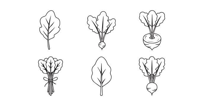 Turnip Greens icon 6 pec set black line art