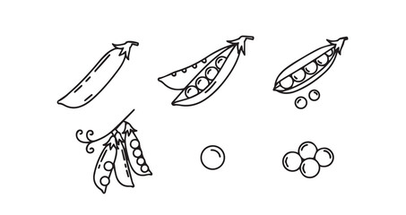 Snow Peas icon 6 pec set black line art