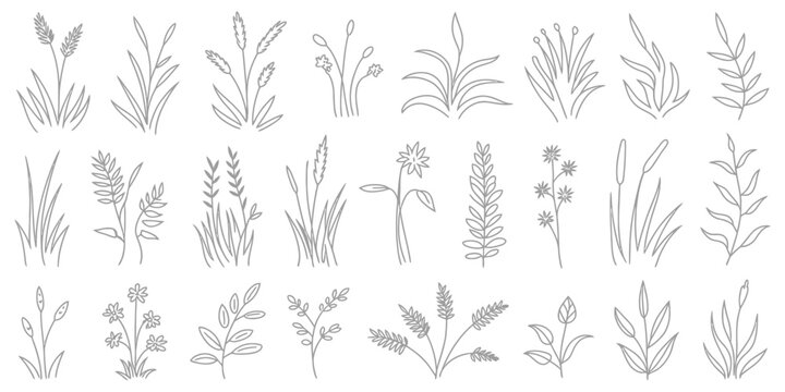 Plant elevation line silhouettes including grass, shrubs, and trees, vector set in CAD outline style, isolated on white background, perfect for architecture, landscape design, and technical planning.