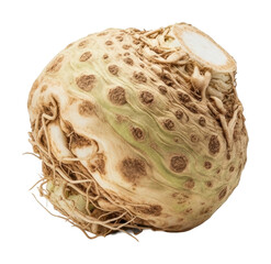 Harvesting celery root farm food isolated on transparent background