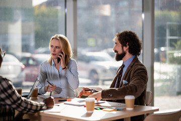 Business colleagues having meeting, woman communicating on phone