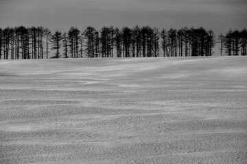 A close-up of the snow surface creating wind patterns caused by the light and shadows of the rising sun