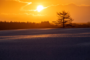 On a bitterly cold morning, the snowy fields and pastures are bathed in the golden light of the rising sun. © 多田 智