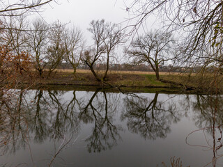 A body of water with trees reflected in it