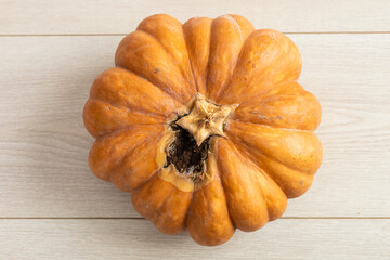 A large, orange pumpkin with a slightly damaged surface sits on a light wooden floor. Sunlight casts shadows, highlighting its texture and imperfections.