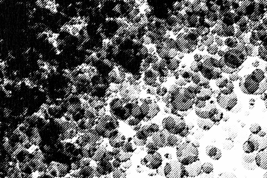 Macro halftone pattern of overlapping bubble-like circles, dense black ink dots and shapes on a transparent background.