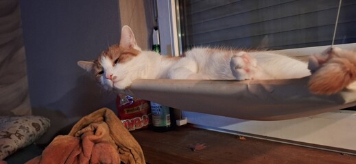 man sleeping on a sofa