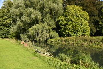 Végétation luxuriante au jardin du château de la Follie à Écaussinnes-Lalaing (Soignies)