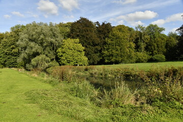 Végétation luxuriante au jardin du château de la Follie à Écaussinnes-Lalaing (Soignies)
