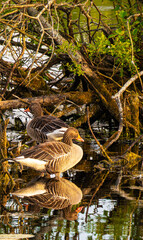 Ecopark Kołobrzeg © lech
