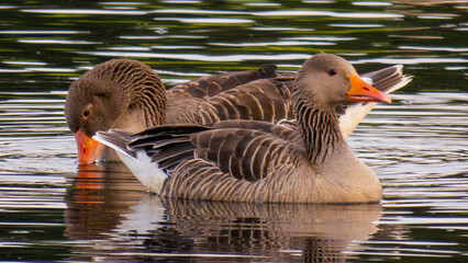 Ecopark Kołobrzeg © lech