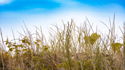 Ecopark Kołobrzeg © lech