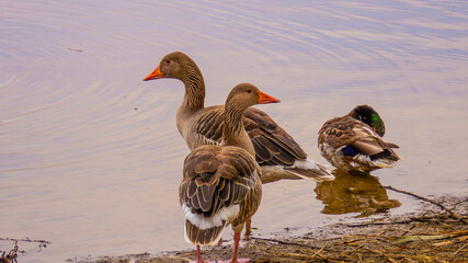 Ecopark Kołobrzeg © lech