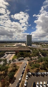&aacute;rvore, arborizar, natureza, verde, madeira, deixar, galho, parque, porta-malas, ver&atilde;o, velho, planta, folha, carvalho, primavera, natural, paisagem, folhagem, cercar, outonal, grande