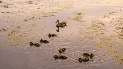 Ecopark Kołobrzeg © lech