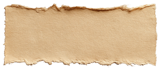 Rough-edged tan paper scrap, tattered and textured