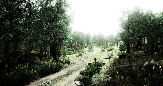 A tranquil woodland path meanders through a lush forest, bathed in soft morning light. Green foliage surrounds the winding trail, creating a peaceful atmosphere perfect for exploration.