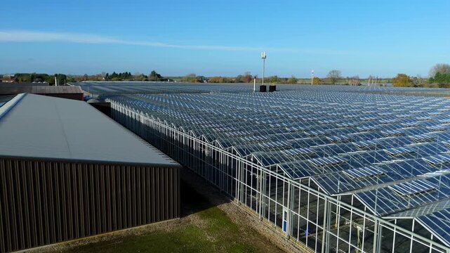 Aerial view of greenhouses in King's lynn, United Kingdom.