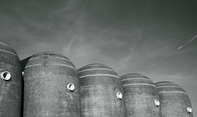 Almac&eacute;n vin&iacute;cola en Valencia