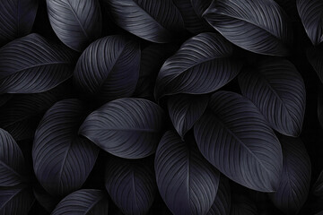 Closeup tropical black leaves texture and dark tone process, abstract nature pattern background