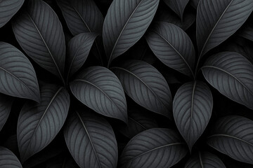 Closeup tropical black leaves texture and dark tone process, abstract nature pattern background