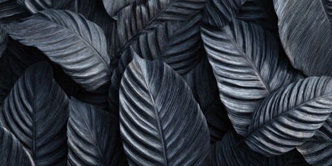 Closeup tropical black leaves texture and dark tone process, abstract nature pattern background