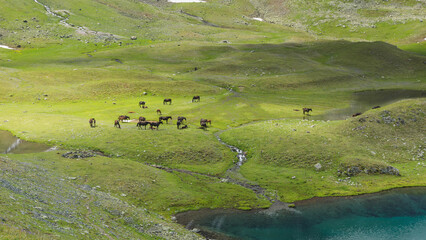 View of Caucasus Mountains in Arkhyz, Russia