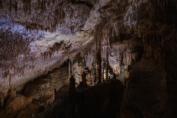 Large underground chamber filled with dense stalactites and rock formations, illuminated by soft artificial light inside a deep limestone cave