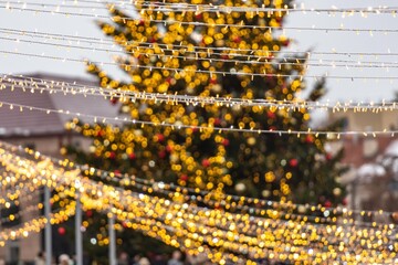 A large outdoor Christmas tree in Vilnius, decorated with warm white lights and ornaments, standing in a festive setting with strings of lights in the foreground