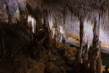Large underground chamber filled with dense stalactites and rock formations, illuminated by soft artificial light inside a deep limestone cave