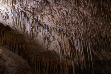 Large underground chamber filled with dense stalactites and rock formations, illuminated by soft artificial light inside a deep limestone cave