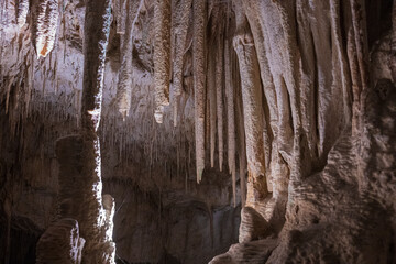 Large underground chamber filled with dense stalactites and rock formations, illuminated by soft artificial light inside a deep limestone cave