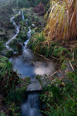 A stream within the gardens of Cotehele House Cornwall in Winter