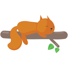 Squirrel sleep vector. Cartoon cute animal icon illustration. Sleepy on character tree branch. Funny red rodent sleeping isolated on white background