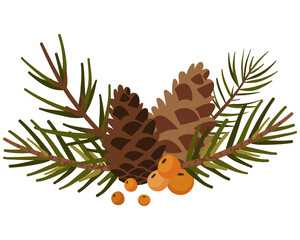 Pine Cones and Evergreen Branches - Christmas Botanical Decoration Illustration