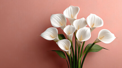 Elegant white calla lily bouquet against a soft pink background. A beautiful arrangement of calla lilies provides a sense of peace and tranquility, perfect for various creative projects