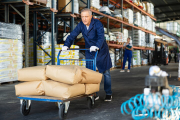 In warehouse rack area of store, stevedore loader mature man pushes and carries large cart for...