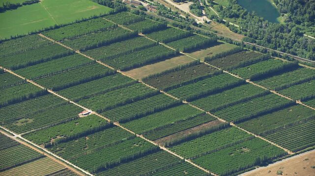 vue a&eacute;rienne culture &agrave; c&ocirc;t&eacute; de saint Martin de Crau