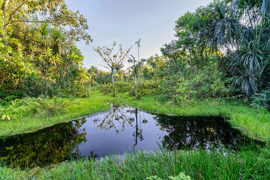 Sunset reflections on a small lagoon inside the Amazon Rainforest, Manu national park, Cusco, Peru