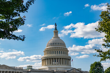 Obraz premium United states Capitol. Capitol building. The Capitol building in Washington. Architecture view on dome with column. Famous Capitol in Washington DC. Washington DC landmark. Senate and House