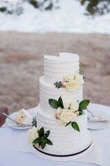 Stylish modern wedding cake. Beautiful decorated delicious dessert with several layers.