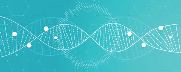 Obraz premium Futuristic medical background, DNA strands, connected neural web