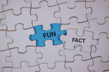 Fototapeta premium A close-up of interlocking puzzle pieces, featuring a blue piece labeled FUN and a white piece labeled FACT. It symbolizes curiosity, learning, and concepts in business.