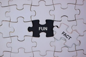 A close-up of interlocking puzzle pieces, featuring a black piece labeled FUN and a white piece labeled FACT. It symbolizes curiosity, learning, and concepts in business.