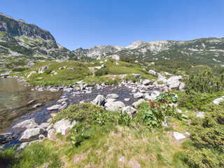 Landscape of Pirin Mountain near Popovo Lake, Bulgaria