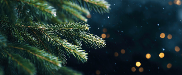 Panoramic image of evergreen pine branch with falling snow and golden bokeh lights with area for text or design