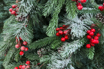 Evergreen branches adorned with red berries and frosted tips create a festive atmosphere, showcasing winter beauty and holiday spirit in a natural setting