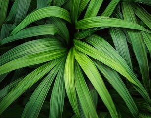 the leaves of this plant have a stunning form with a vibrant green that creates a pleasing backdrop